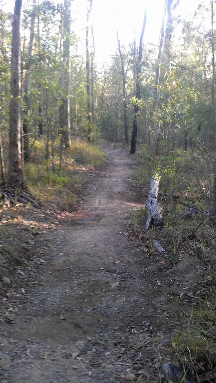 Trail Fix 3